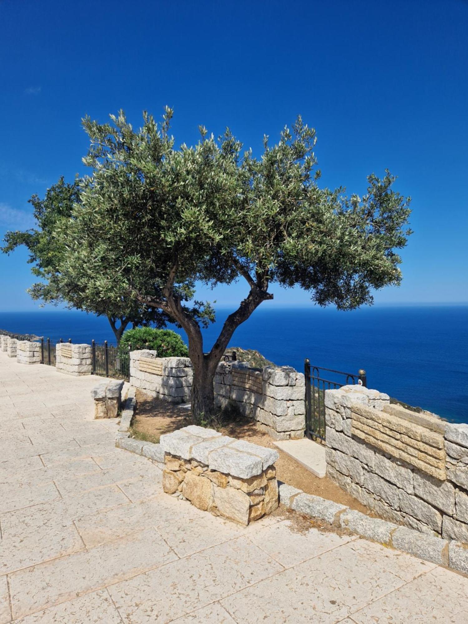 Casa Olive Apartment San Vito  Exterior photo